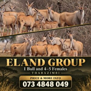 Eland Package